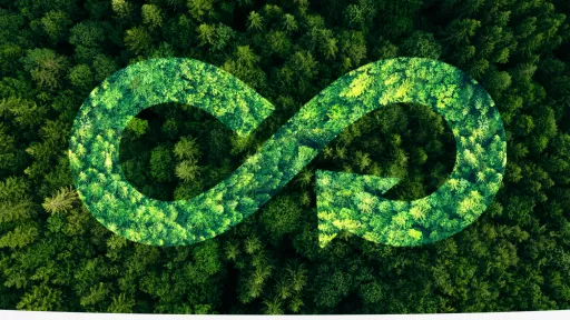 forest with recycle symbol imprint over it