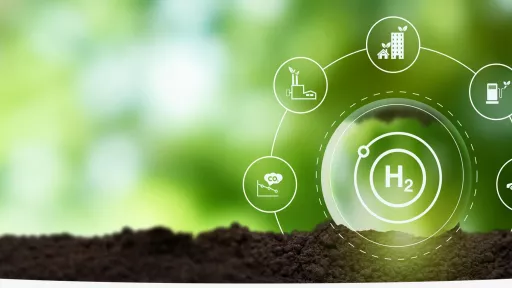 climate chart on green background