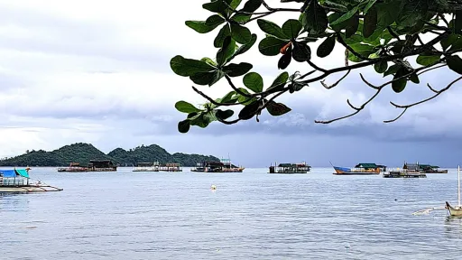 Marine Reserves in the Philippines 