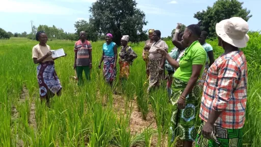 KfW Benin female farmers