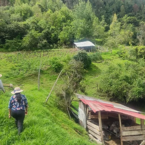 German-Colombian Project for Agroecology 