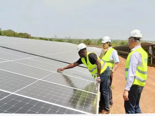 men at a solar power field